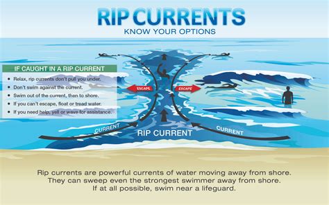 7 rip current myths debunked