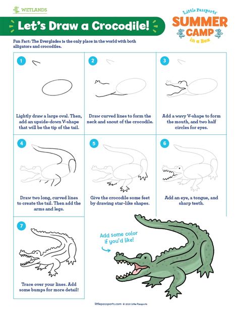 How To Draw Easy Animals Step By Step Image Guide