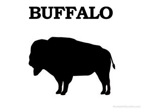 Printable Buffalo Silhouette - Print Free Buffalo Silhouette