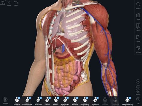 Why Upgrade? | Complete Anatomy