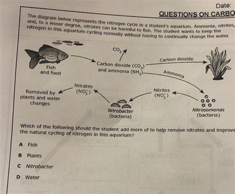 Solved: Date: QUESTIONS ON CARBO The diagram below represents the ...