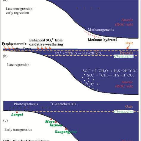 (PDF) Carbon isotope gradient of the Ediacaran cap carbonate in the ...