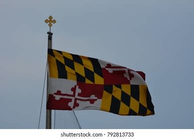 278 Black White Maryland Flag Royalty-Free Images, Stock Photos ...