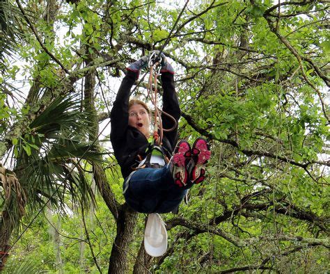 18 Treetop Trek Aerial Adventures ideas | experience nature, fun moves ...