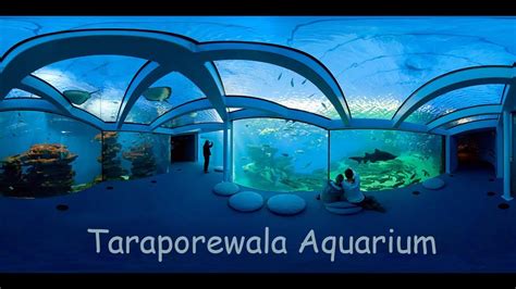 Taraporewala Aquarium | Marine Drive | Mumbai | Short Film | 2019 - YouTube