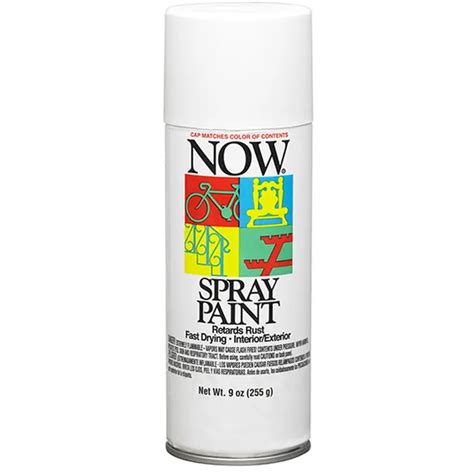 Krylon Now Spray Paint 9oz Cocoa Brown for sale online | eBay