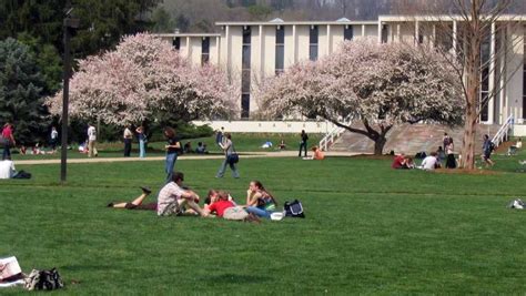 FBI involved in investigation at UNC Asheville campus