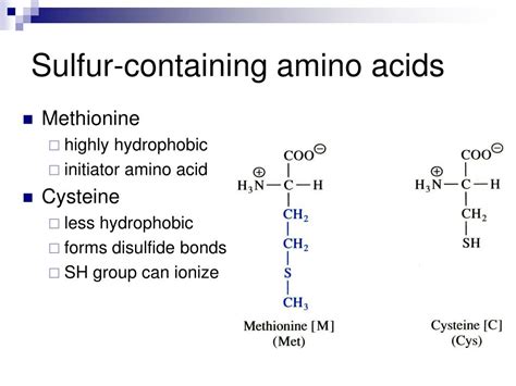 PPT - Amino acids PowerPoint Presentation, free download - ID:1724247