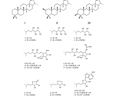 Structures of hopanoids that are referred to in the text. | Download Scientific Diagram