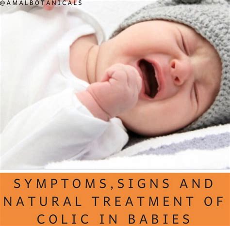 Symptoms, Signs and Natural Treatment of Colic in Babies - Amal Botanicals Baby Care