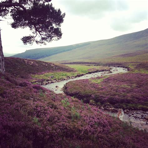 Meandering river Meander, Scenery, River, Mountains, Natural Landmarks, Pretty, Nature ...