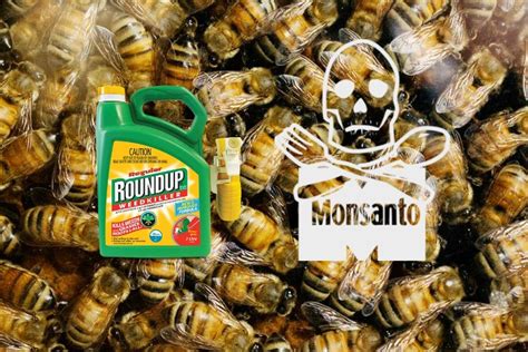 French Beekeepers Go After Bayer After Glyphosate Found in Honey