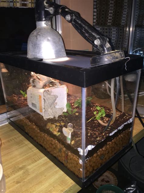 Cricket Habitat. 1. Small Aquarium Water Heater 2. Aquarium aerator ...