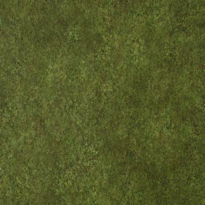 Roblox Grass Texture