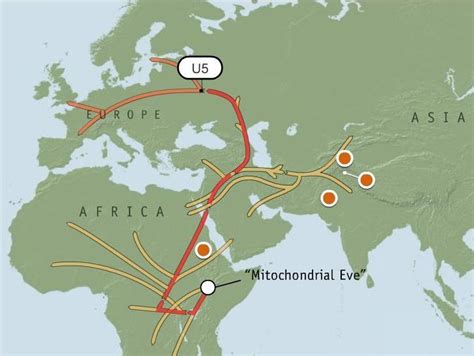 Vol. I was his life, that our ancestors and my female haplogroup U5 ...