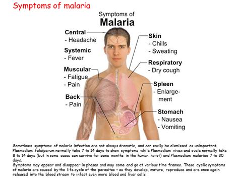 Symptoms of malaria