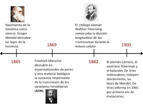 LINEA DE TIEMPO DE LA CIENCIA ~ CIENCIA Y TECNOLOGIA