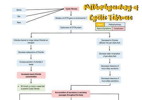 SOLUTION: Cystic Fibrosis Pathophysiology - Studypool