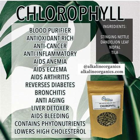 Chlorophyll Benefits | Chlorophyll, Chlorophyll benefits, Nutrition healthy eating