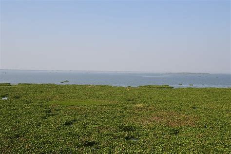 Indirasagar Dam (Gosikhurd Project) (Bhandara) - 2020 What to Know Before You Go (with Photos ...