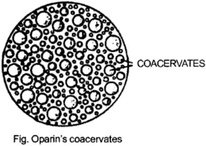 Define : (i) Coacervates (ii) Gene bank - Sarthaks eConnect | Largest Online Education Community