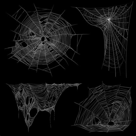 Realistic Spider Web Cobweb Set Vector Illustration 2395418 Vector Art at Vecteezy