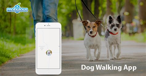 Must-have features that you need to include on Dog Walking Apps