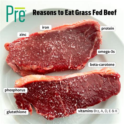 Why Is Grass Fed Beef a Good Source of Iron and Protein? - Pre