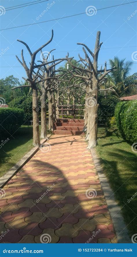 Indian Garden Beautiful Kudal Maharashtra Dreamland Stock Photo - Image ...