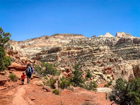 The Best Hike in Capitol Reef National Park - Family Can Travel