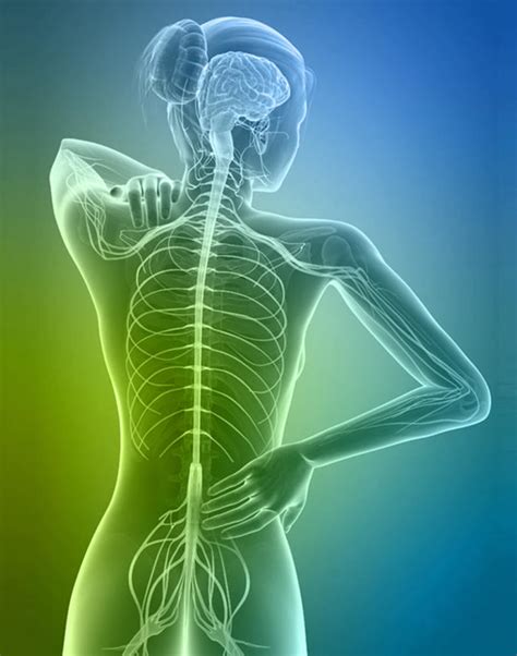 Multiple Sclerosis Chiropractic - Begin Within