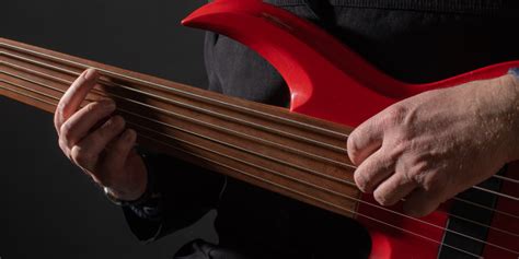 What Is a Fretless Guitar and How To Play It - Learn to Play an ...