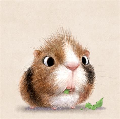 Adorable guinea pig drawing. : r/guineapigs