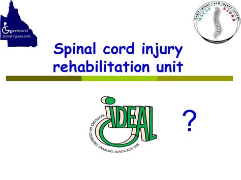 PPT - Spinal cord injury rehabilitation model PowerPoint Presentation ...