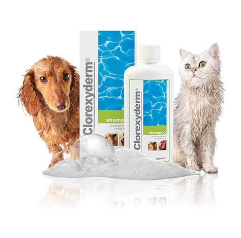 Clorexyderm Dog Shampoo For Itchy Skin Relief | Anti Itch + Antifungal + Antibacterial Shampoo ...