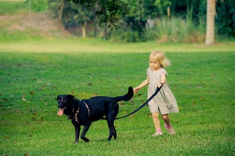 How to Teach Your Kid to Walk the Dog | The Dog People by Rover.com