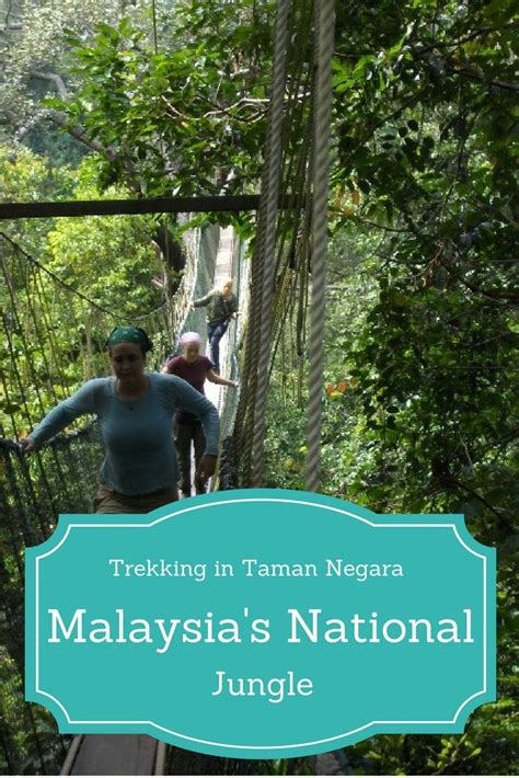 taman negara hiking trails - Lillian Ogden