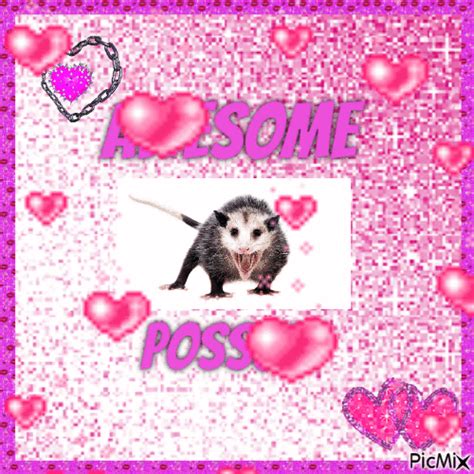 AWESOME POSSUM - Free animated GIF - PicMix