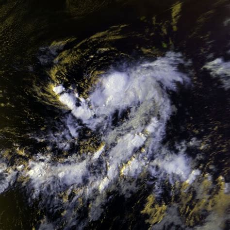 1981 Atlantic hurricane season - Hypothetical Hurricanes Wiki