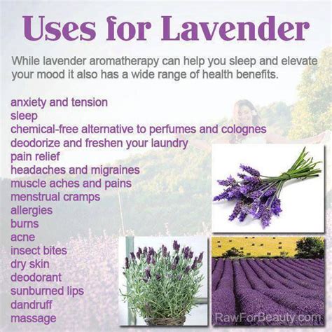 Lavender | DIY HEALTH | Pinterest