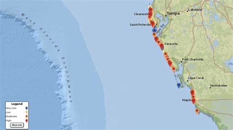 Florida Red Tide Rises Ahead Of Spring Break | Weather.com