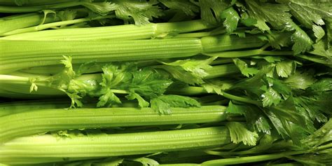 Leek Companion Plants: What Plants Grow Well With Leeks