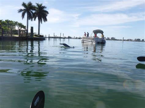 Kayak Excursions - Pelican Bay in Fort Myers Beach | VISIT FLORIDA