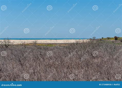 Flat Landscape on Chappaquiddick Island, MA Stock Photo - Image of ...