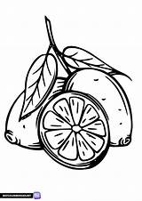 Lemon coloring pages  Free Printable sketch template
