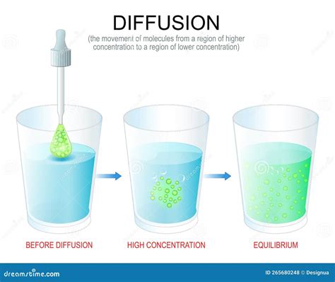 Diffusion. Experiment with Water in Glasses, Pipette with Dye and ...