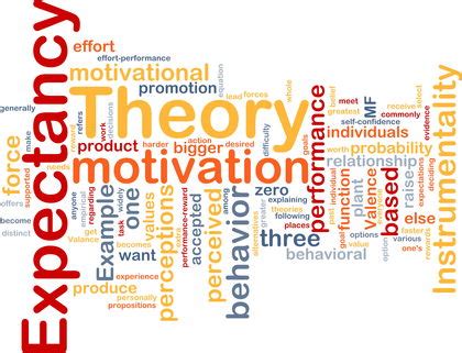 Attribution Theory - organization, manager, type, workplace ...