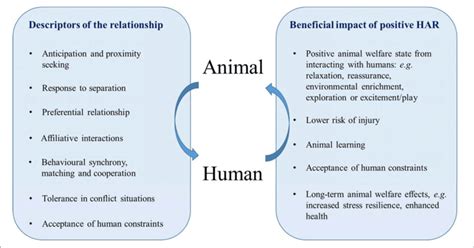 | The different dimensions of a positive human-animal relationship for ...