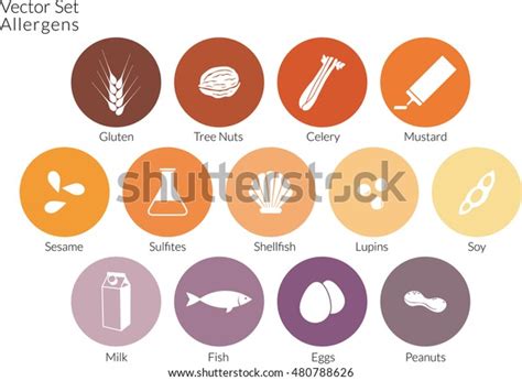 Allergens Icons- Vector Set Stock Vector (Royalty Free) 480788626 ...