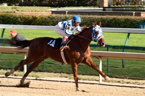 The Greatest Racehorse of All Time - Rockin Mama™